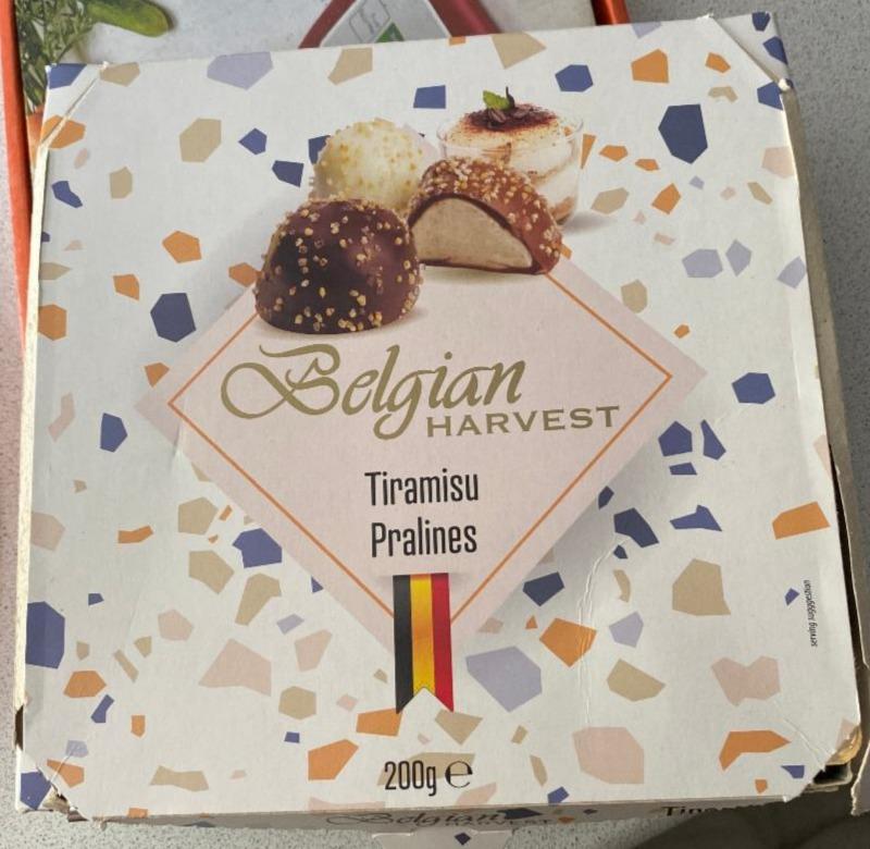 Фото - Конфеты шоколадные с начинкой тирамису Tiramisu Pralines Belgian Harvest