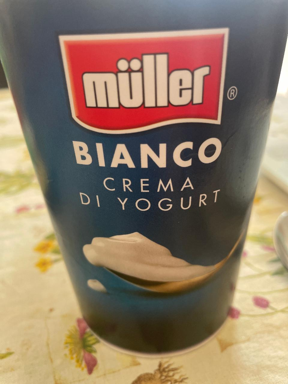 Фото - Йогурт Bianco cream di yogurt Müller