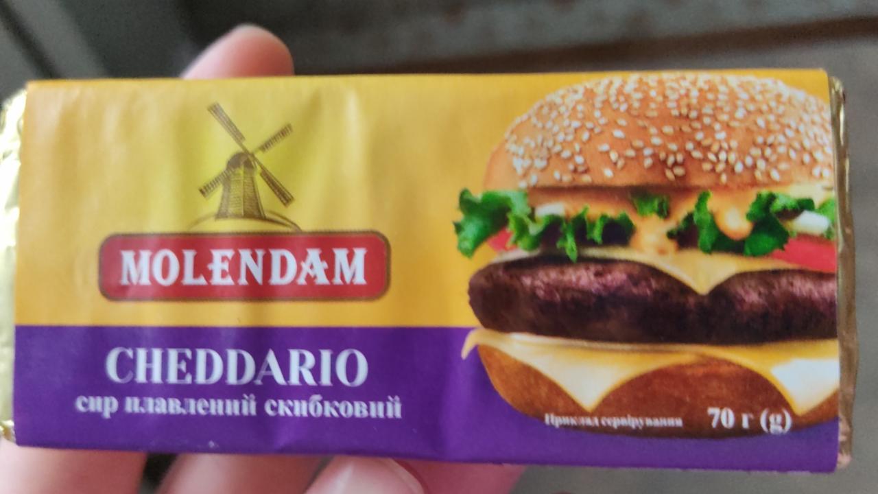 Фото - сыр плавленый cheddario Molendam