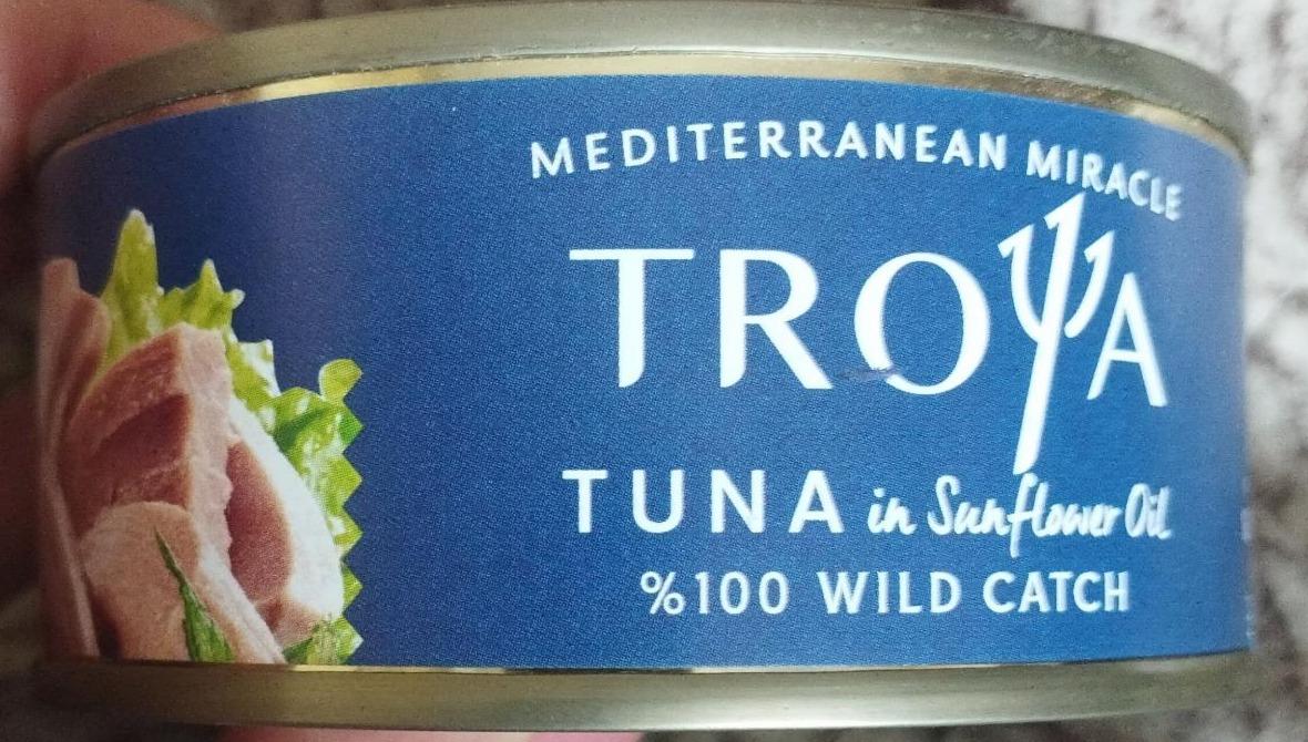 Фото - тунец в масле Troya