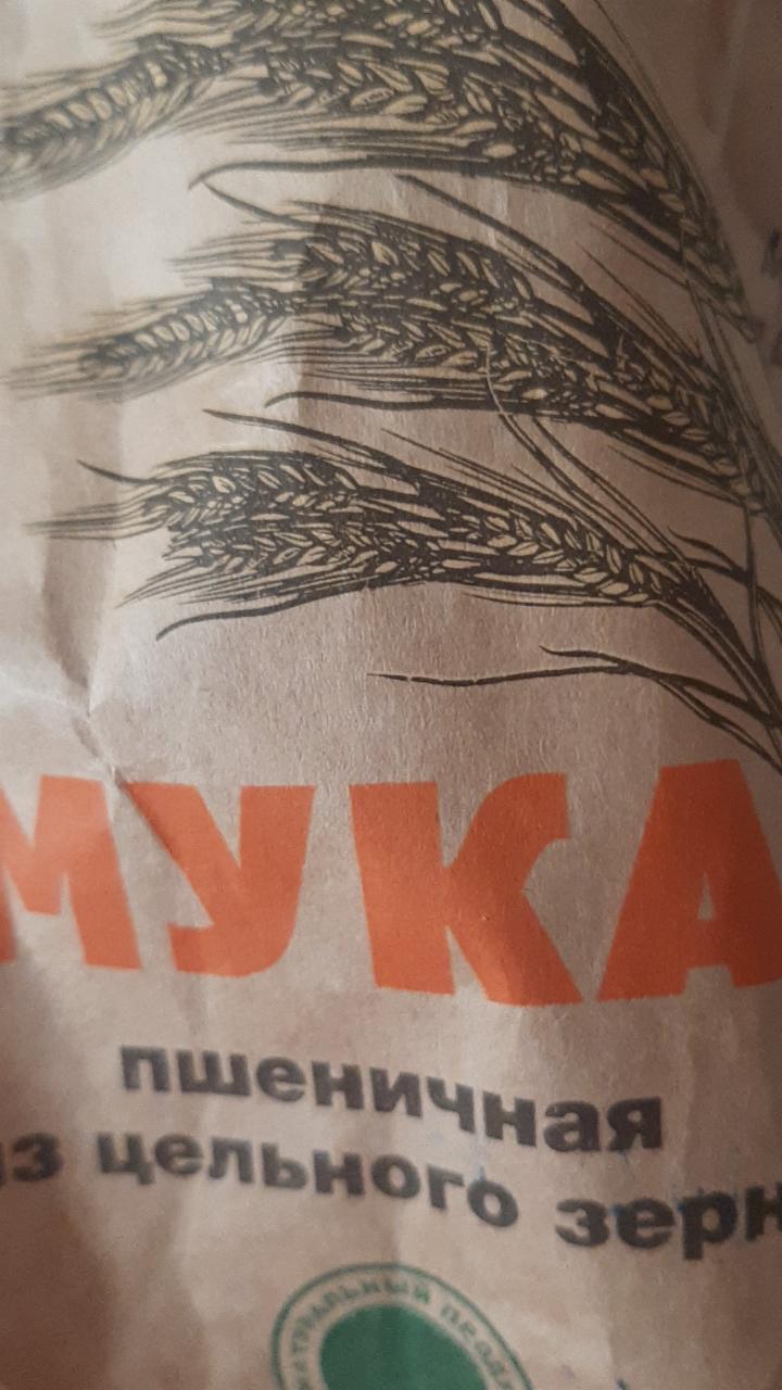 Фото - Мука пшеничная из цельного зерна МукаМол