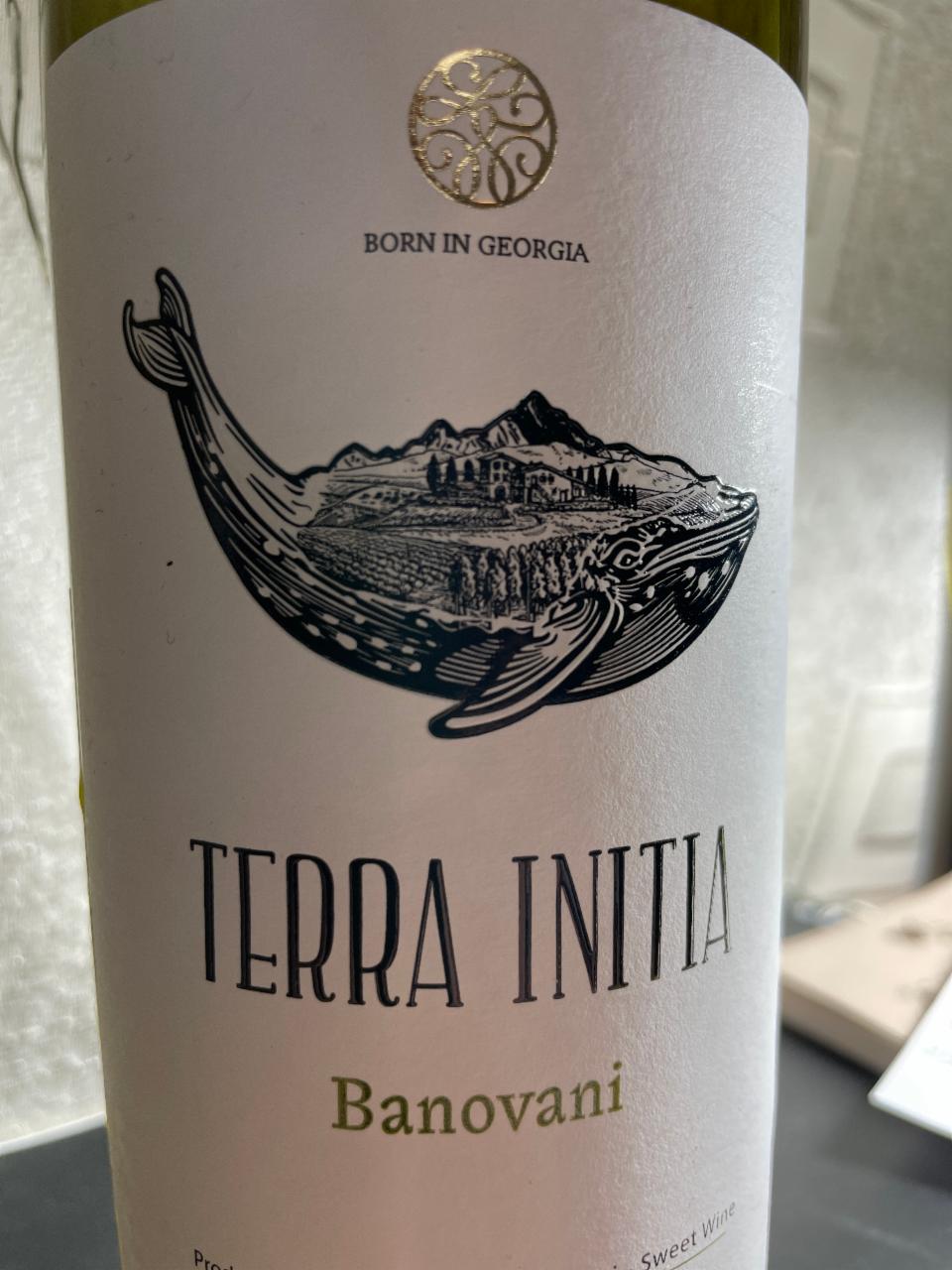 Фото - Вино 12% белое полусладкое Banovani Terra Initia