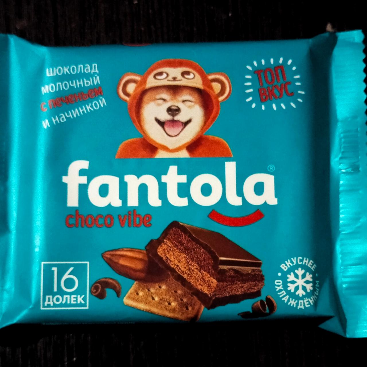 Фото - шоколад молочный с начинкой и печеньем 16 долек Fantola
