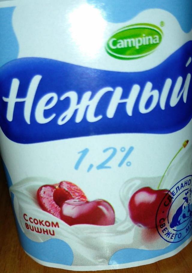 Фото - продукт йогуртный Нежный 1.2% с соком вишни Campina