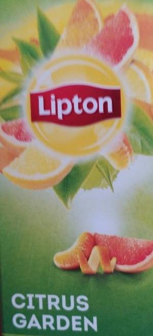 Фото - Чай зеленый с ароматом грейпфрута, апельсина и мандарина Сitrus Garden Lipton