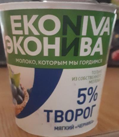 Фото - творог мягкий 5% вкус черника Эконива Ekoniva