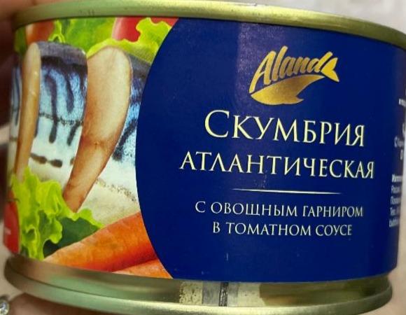Фото - Скумбрия атлантическая в томатном соусе с овощным гарниром Aланд