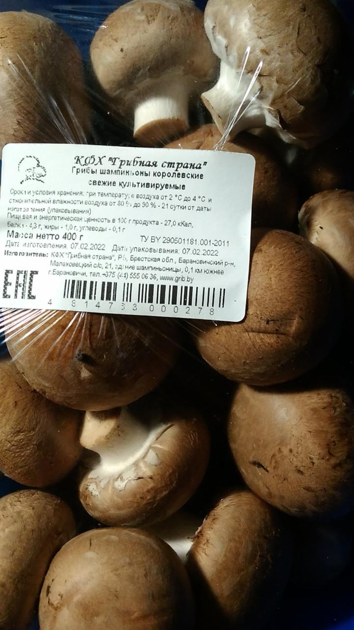 Фото - грибы шампиньоны королевские Грибная страна