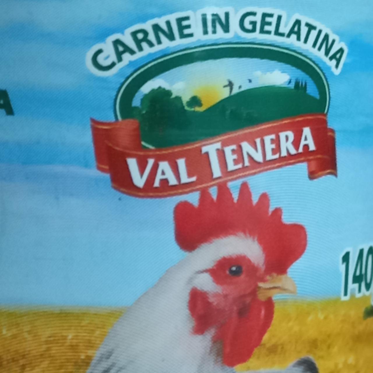 Фото - куриная грудка в желе Val tenera