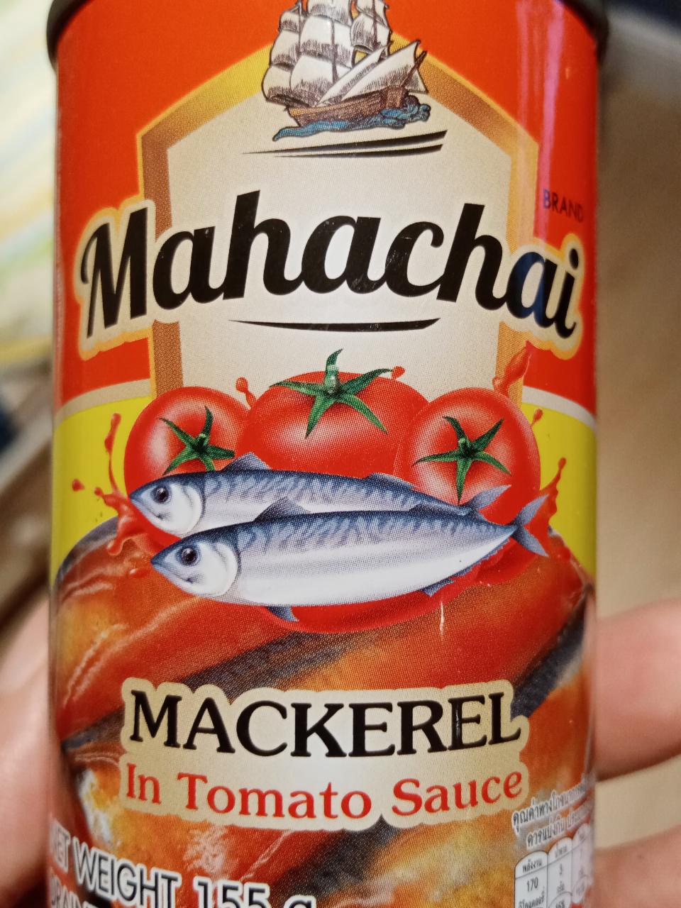 Фото - mackerel in tomato sauce mahachai