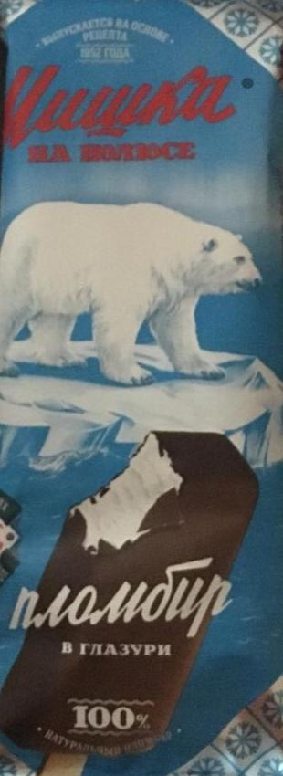 Фото - мороженое эскимо пломбир в глазури Мишка на полюсе