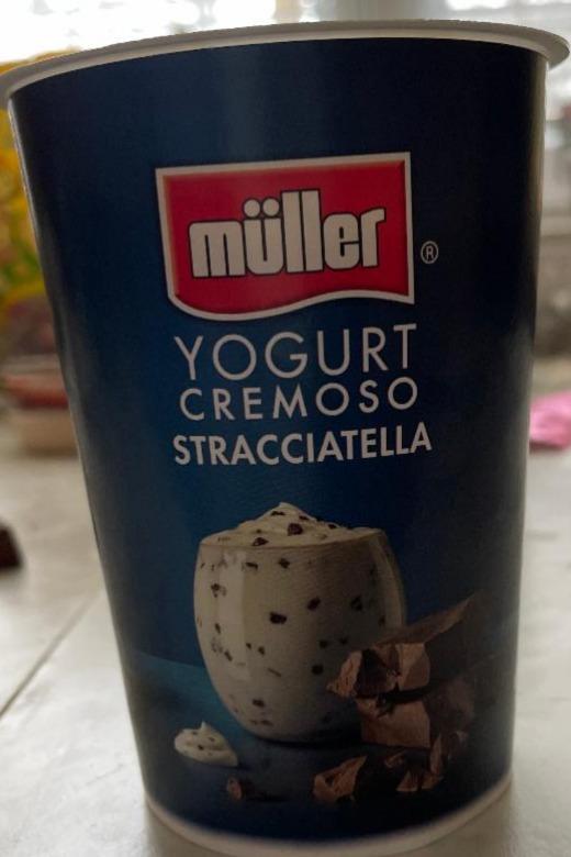 Фото - Йогурт с шоколадом Yogurt cremoso stracciatella Müller