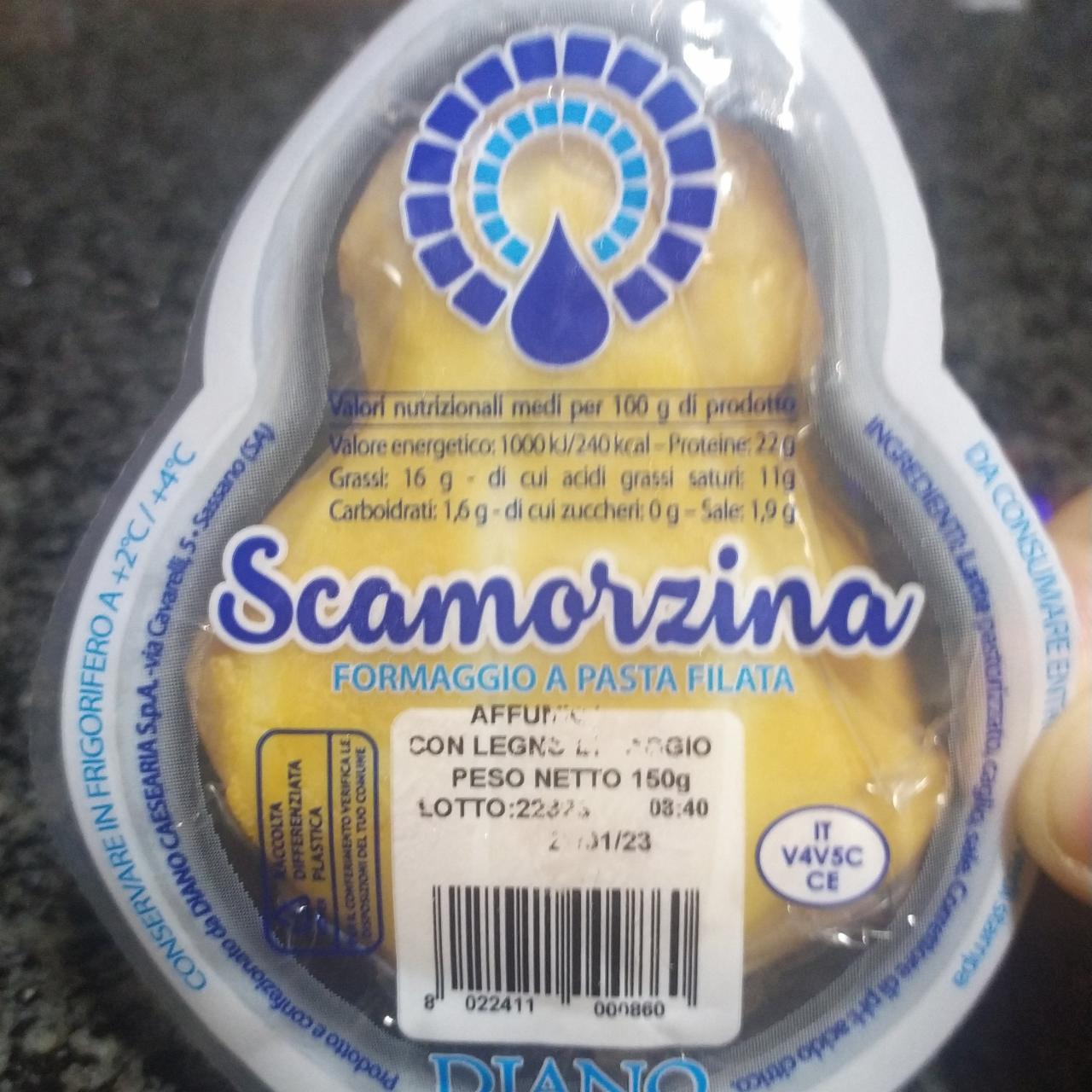 Фото - сир formaggii a pasta filata Scamorzina