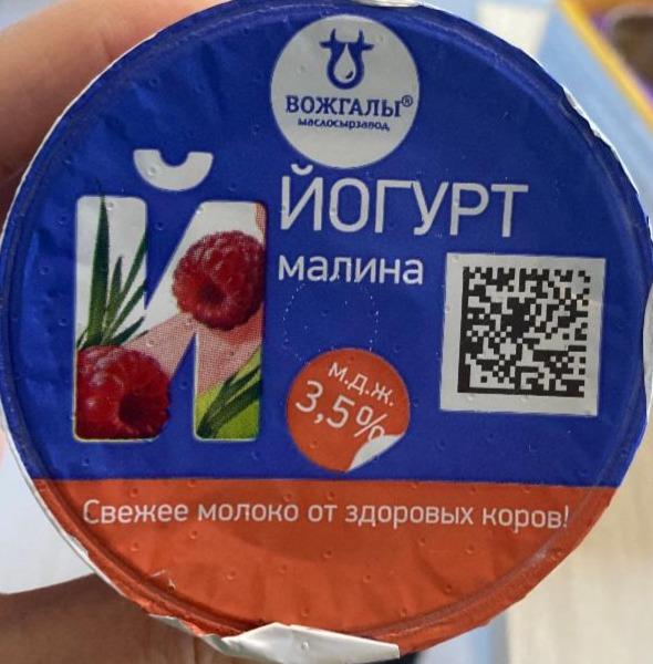 Фото - Йогурт малина 3.5% Вожгалы