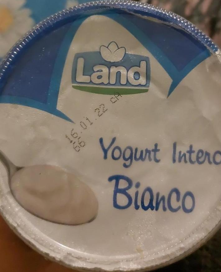 Фото - йогурт класический белый Yogurt bianco intero Bonta Viva