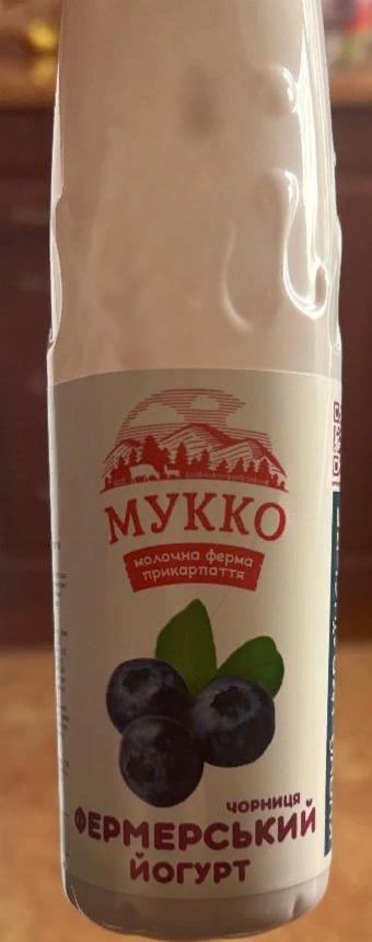 Фото - Фермерский йогурт черника Мукко