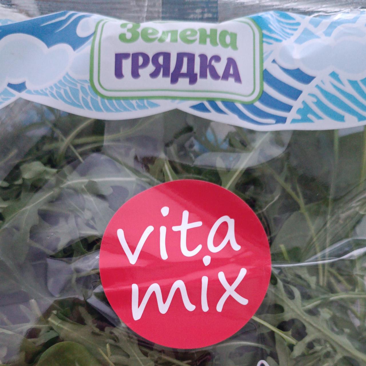 Фото - Микс руккола шпинат vita mix Зелена грядка