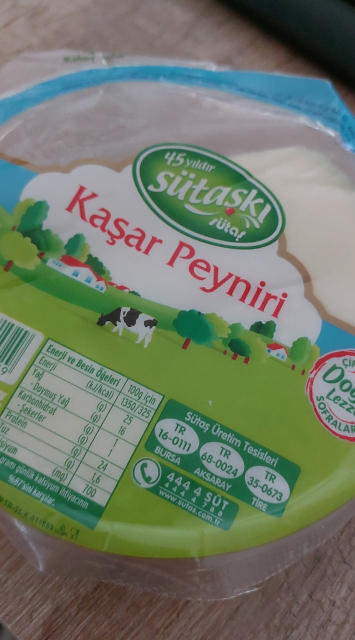 Фото - сыр Kaşar Peynir Sütaşki