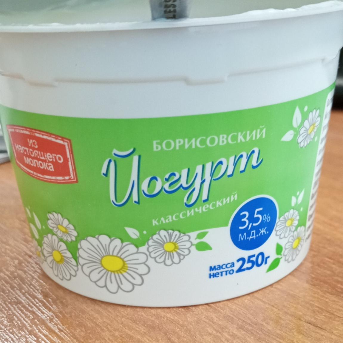 Фото - Йогурт классический 3.5% СППСК Борисовский