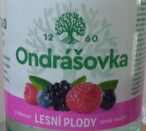 Фото - Вода минеральная газированная со вкусом лесных фруктов Ondrášovka