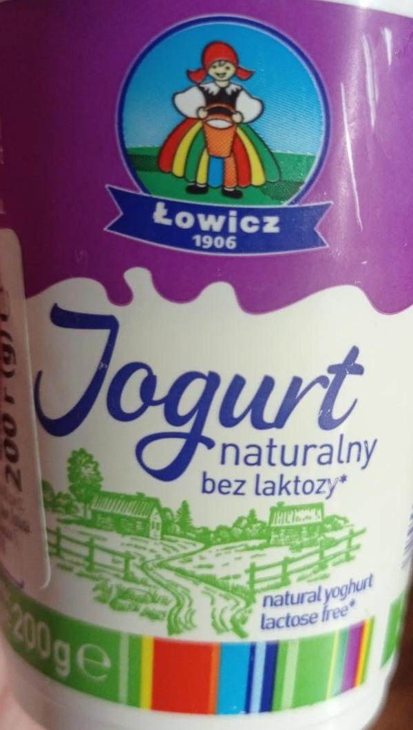 Фото - Йогурт натуральный без лактозы Польша Łowicz