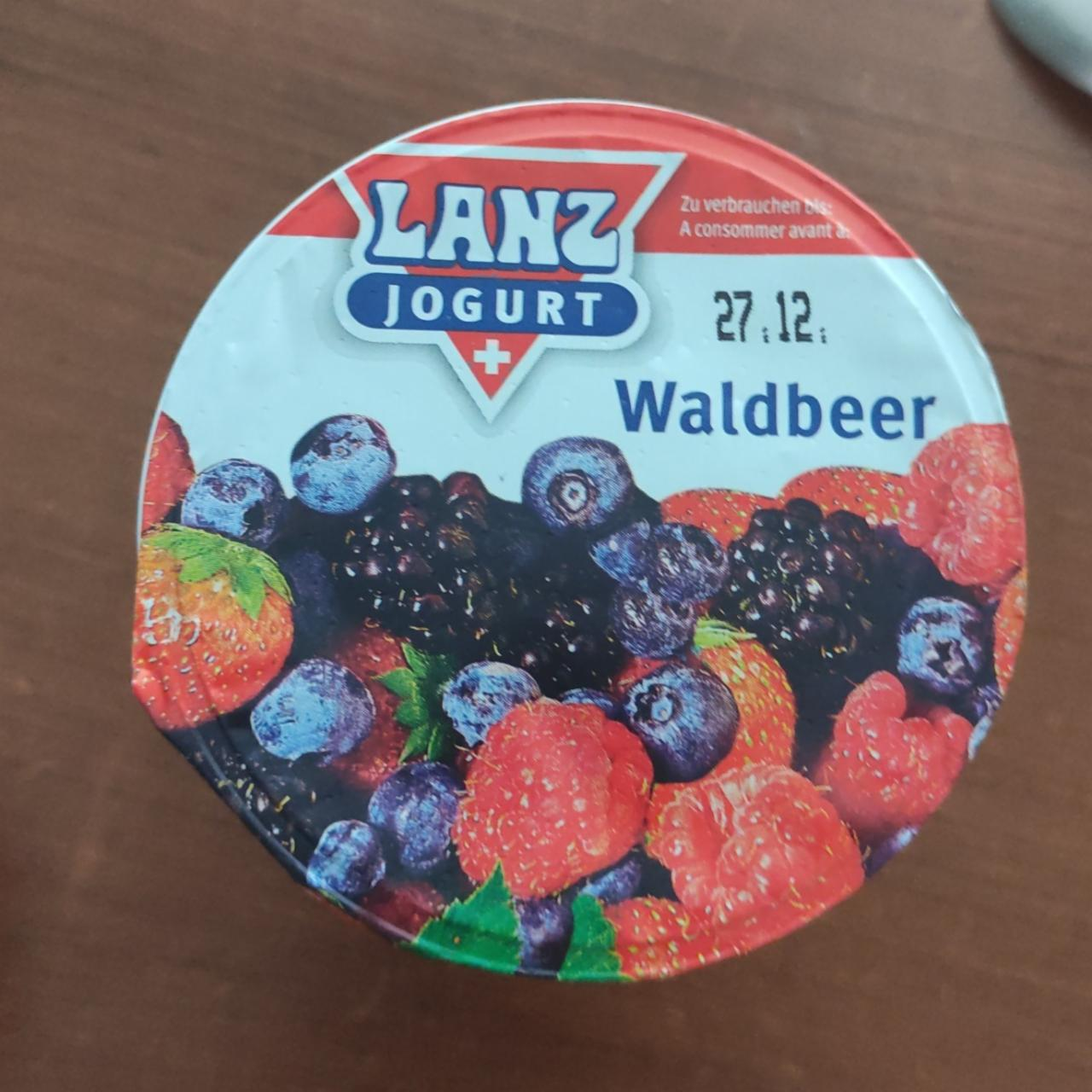 Фото - Йогурт со вкусом лесных ягод Waldbeer LANZ JOGURT