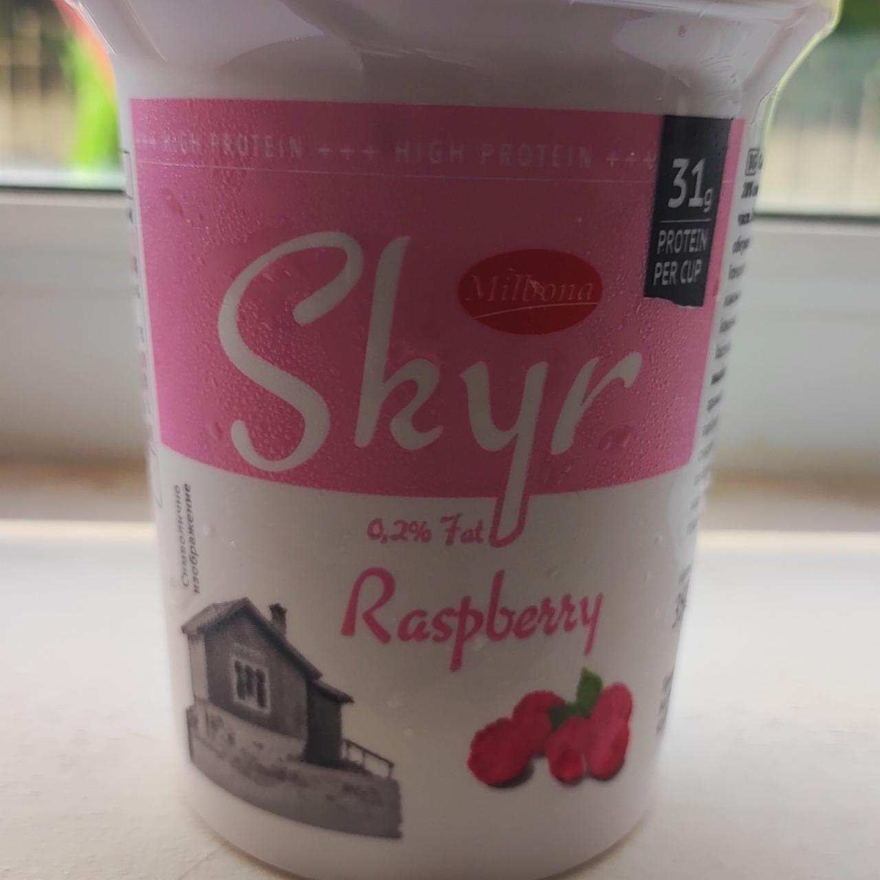 Фото - йогурт с малиной Skyr