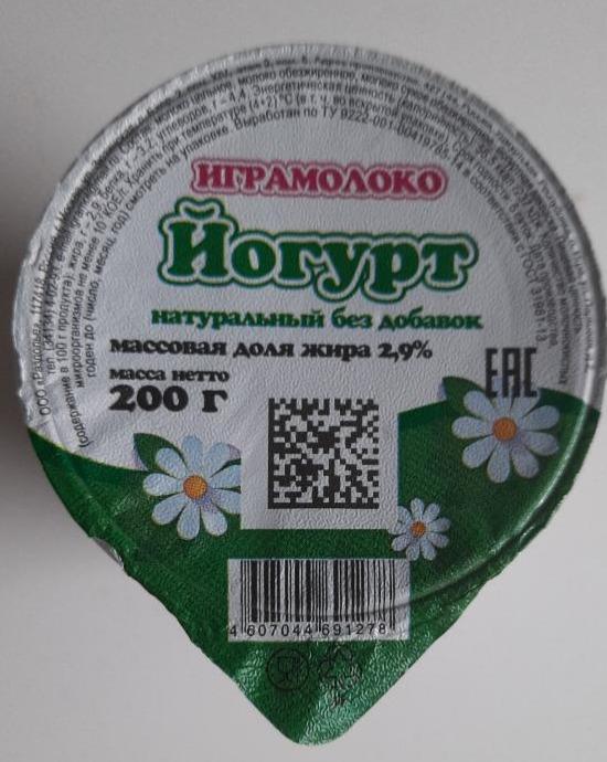 Фото - Йогурт натуральный без добавок 2.9% Играмолоко