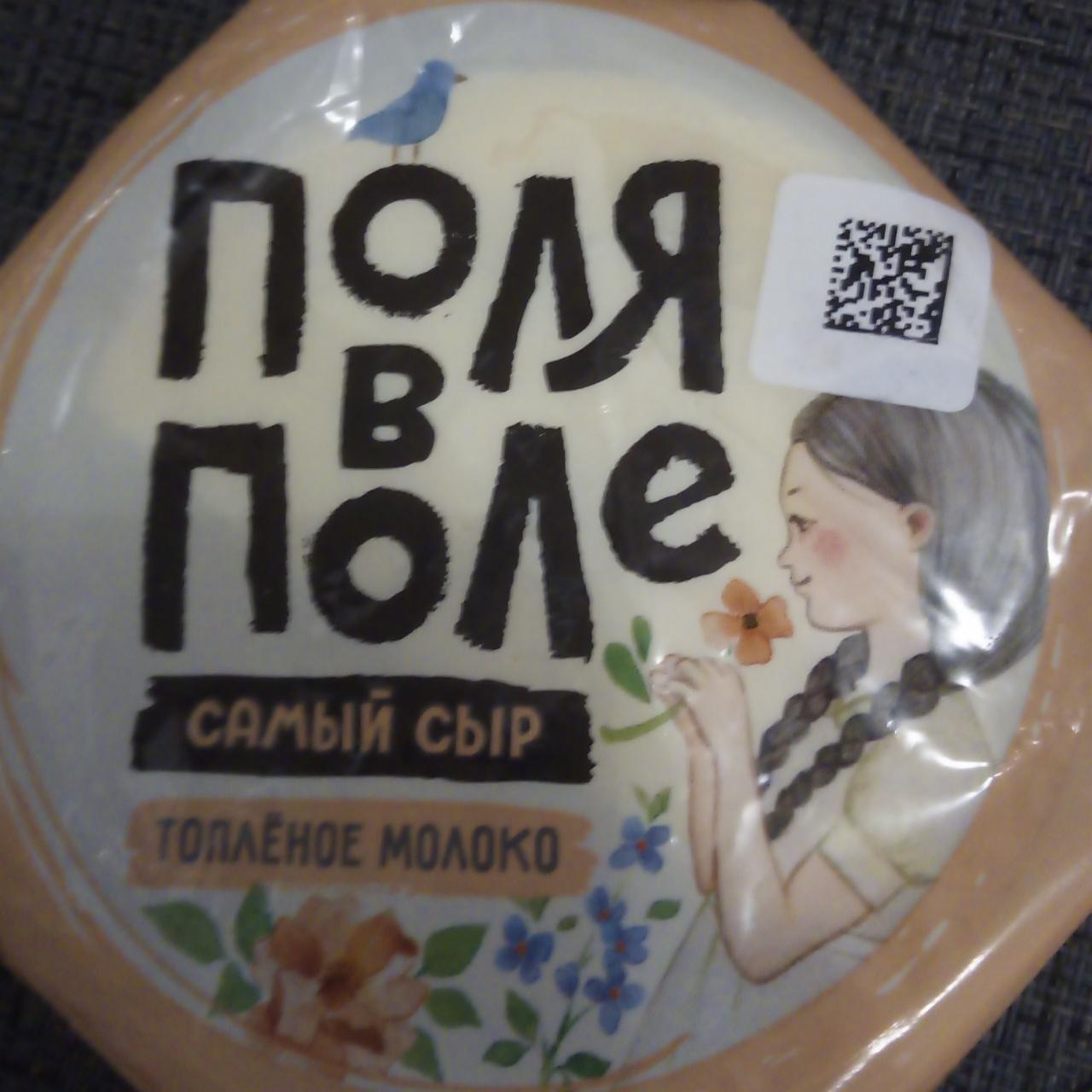 Фото - Сыр на топлёном молоке ПОЛЯ в ПОЛЕ