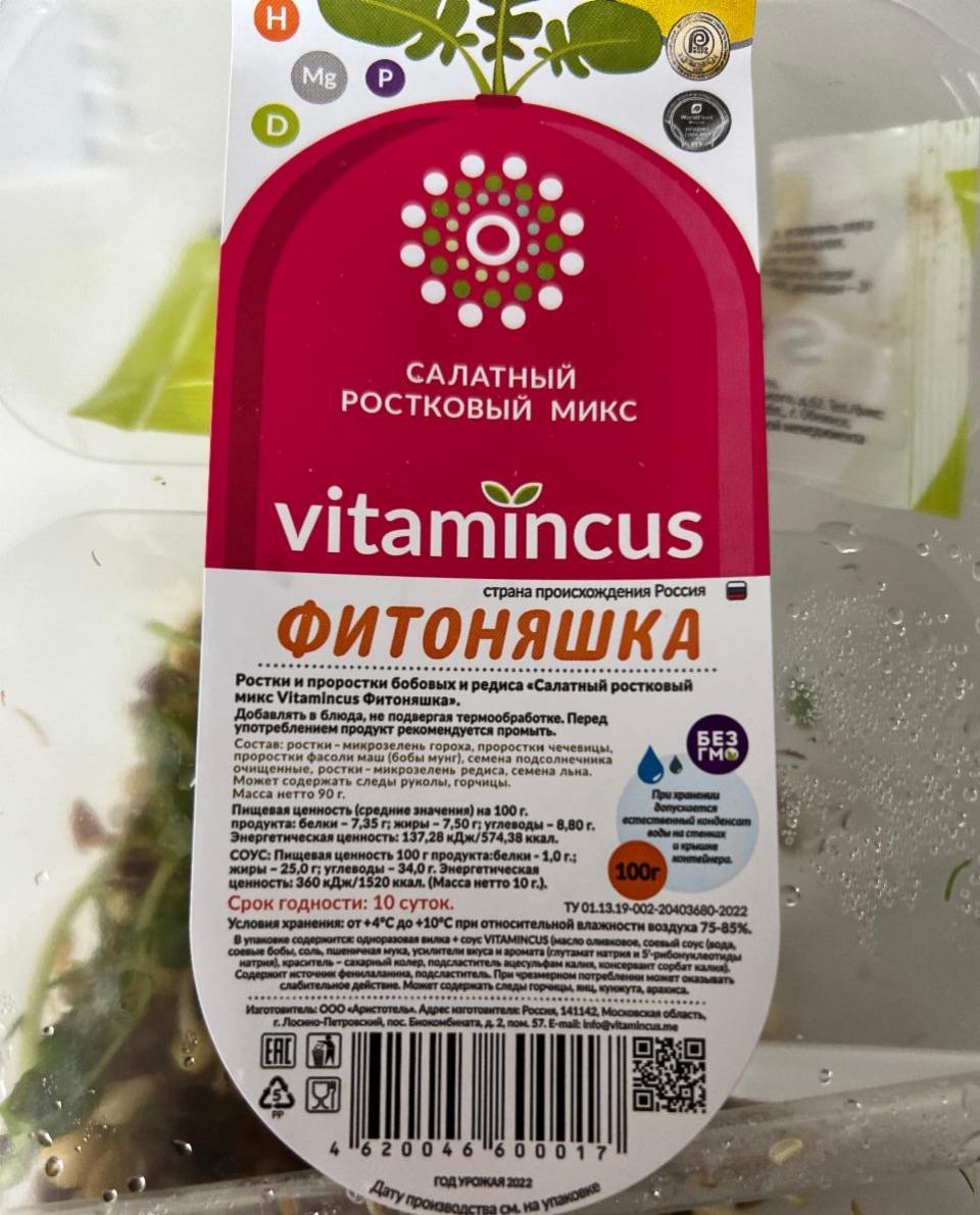 Фото - Cалатный ростковый микс Vitamincus Фитоняшка