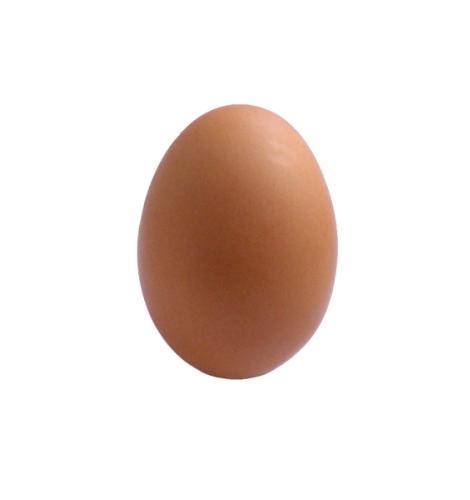 Фото - яйцо куриное сырое
