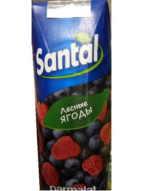 Фото - Напиток сокосодержащий Santal Лесные ягоды