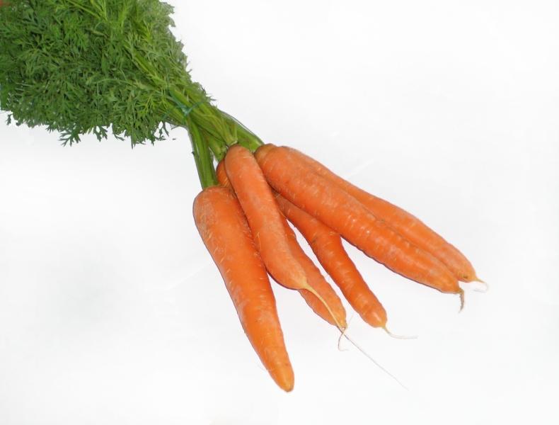 Фото - Морковь сырая