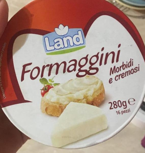Фото - плавленый сыр Formagginoi Merbidi e cremosi Land