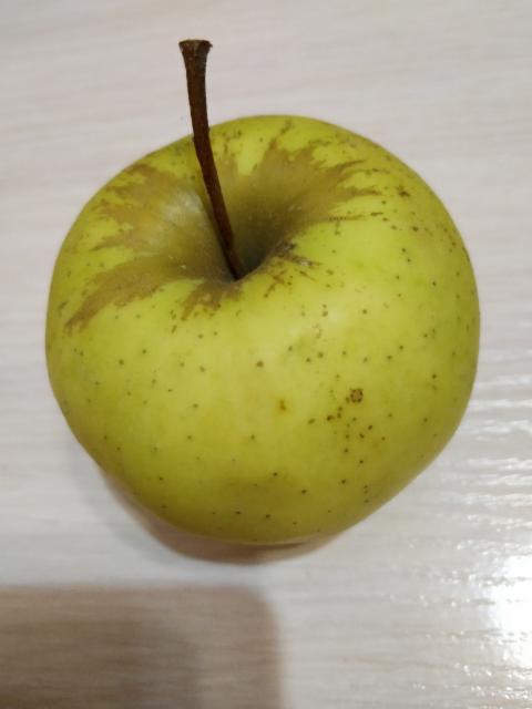 Фото - яблоко садовое