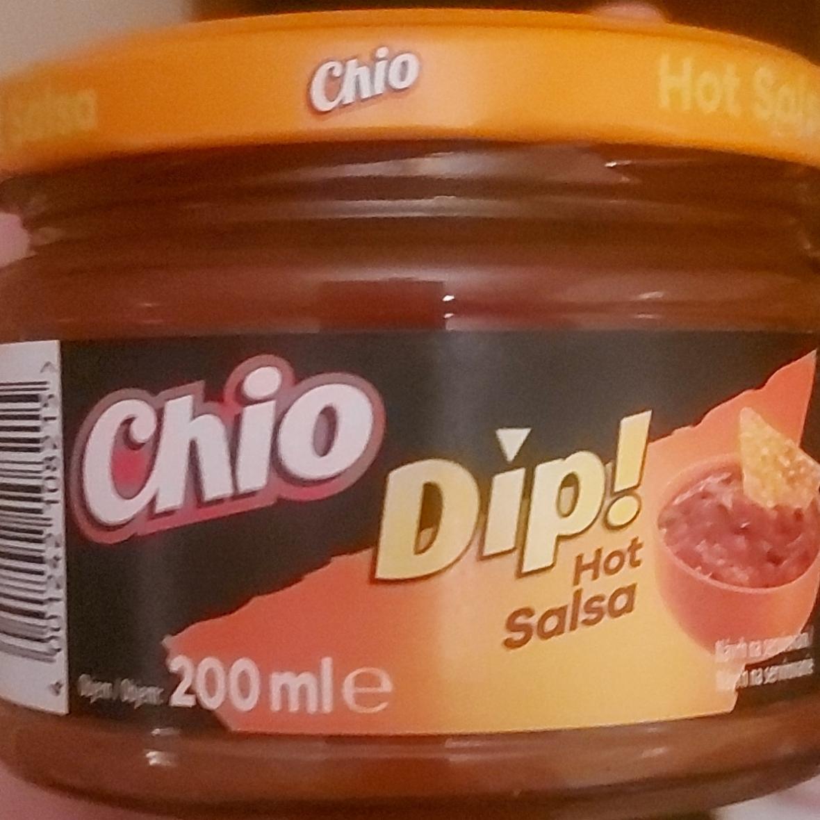 Фото - Hot salsa dip Chio dip