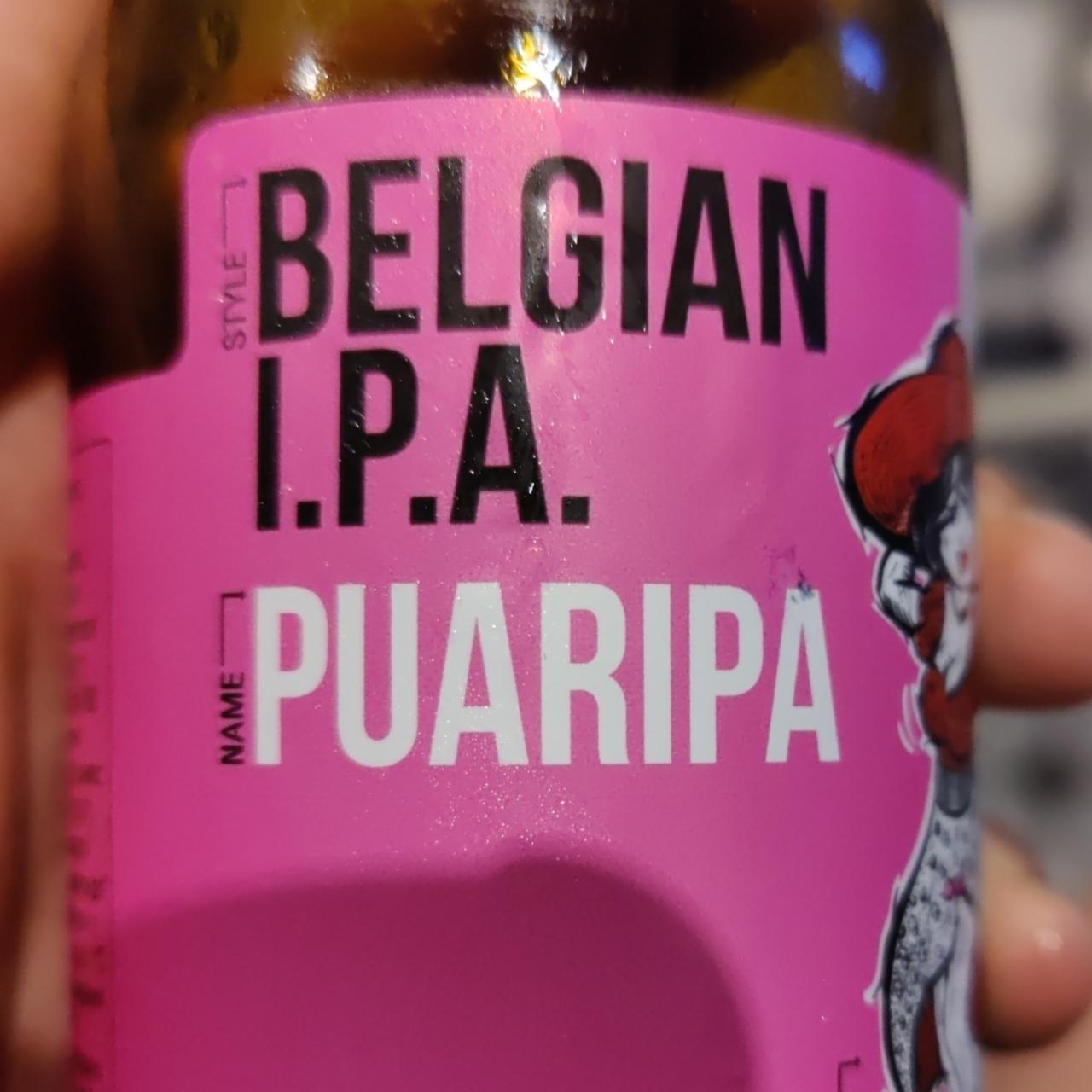 Фото - Пиво 5.5% полутемное нефильтрованое непастеризованое Pauripa First Dnipro Brewery