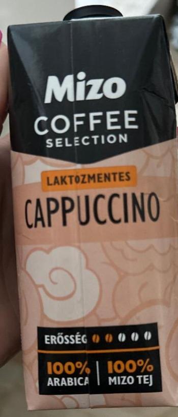 Фото - cappuccino капучино холодный Mizo