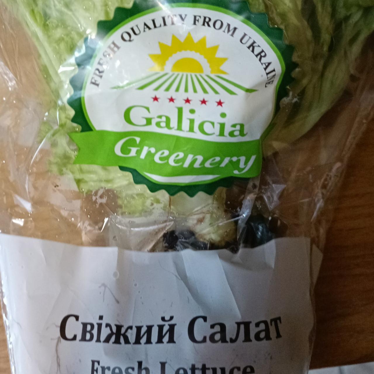 Фото - салат свежий Galicia Greenery