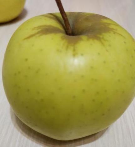 Фото - яблоко зеленое