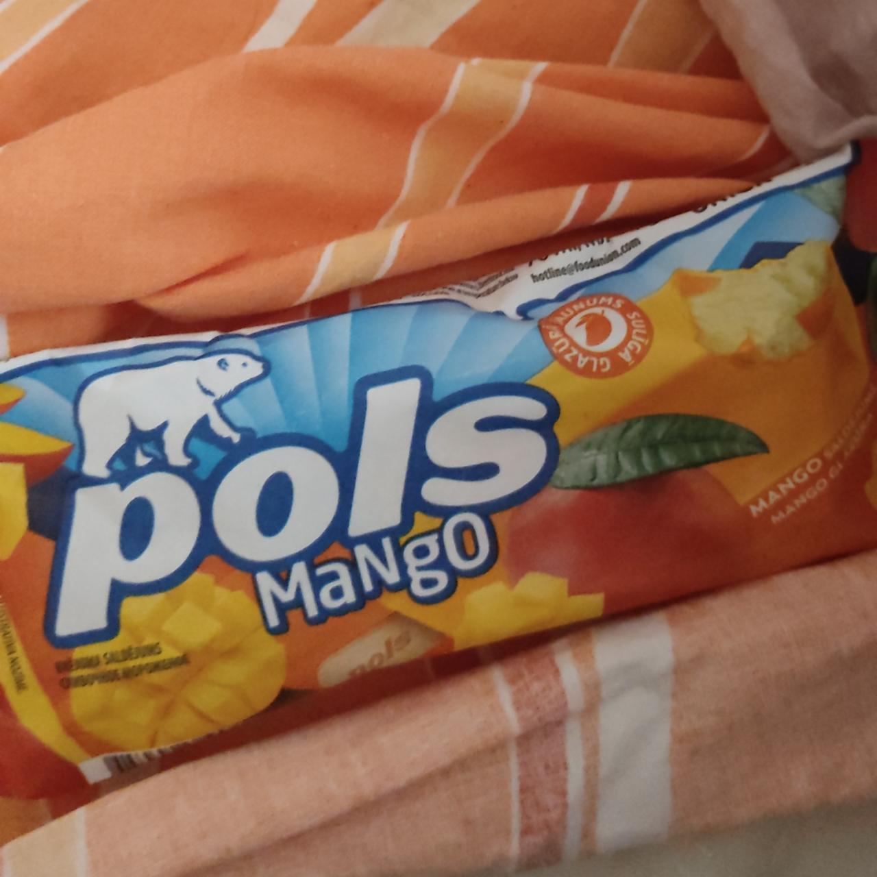 Фото - мороженое на палочке с манго Pols