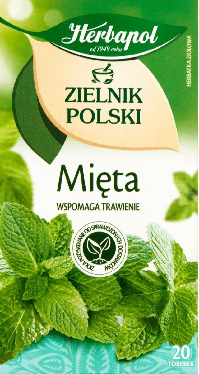 Фото - Zielnik Polski Herbatka ziołowa mięta Herbapol