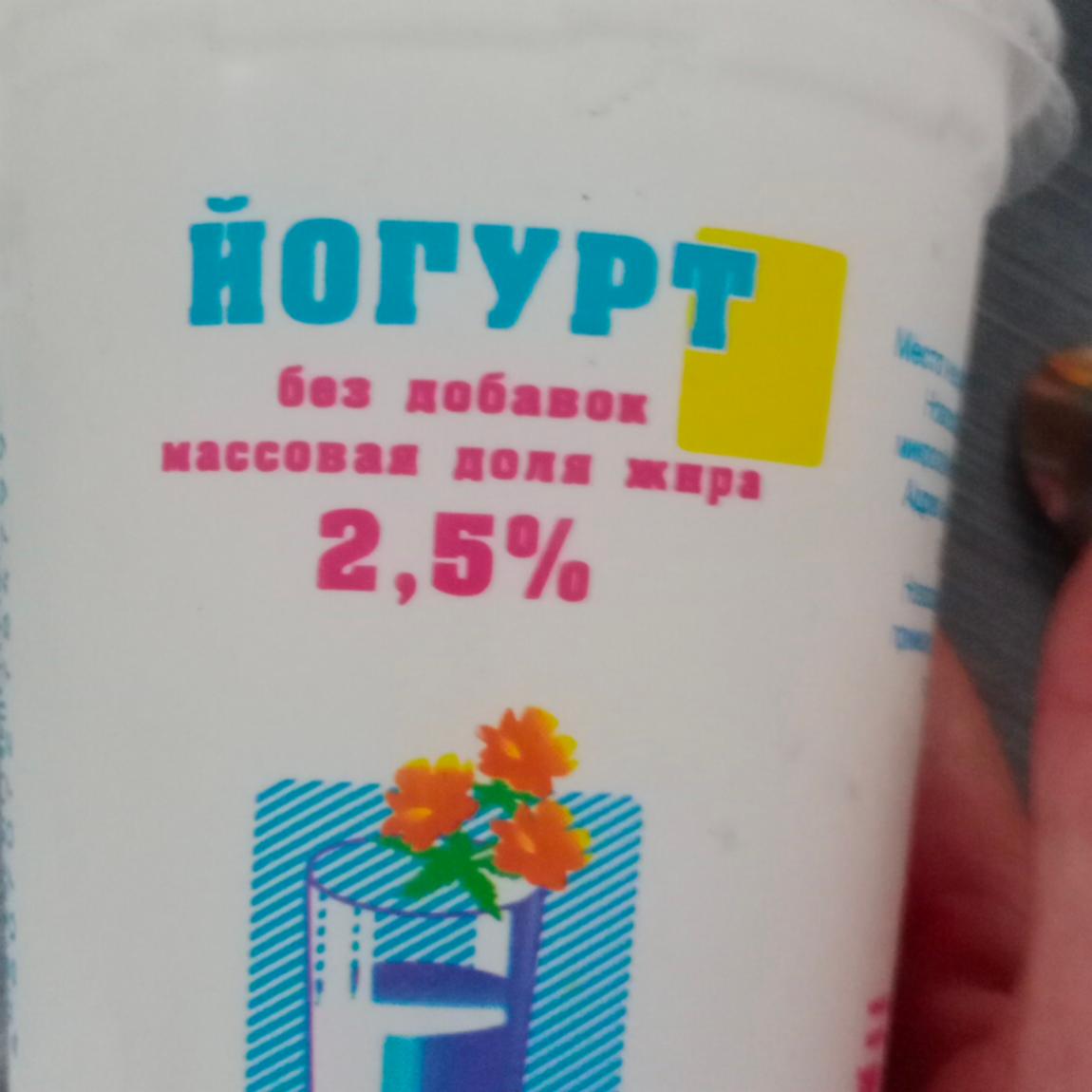 Фото - йогурт классический без добавок белый 2,5% Ирмень