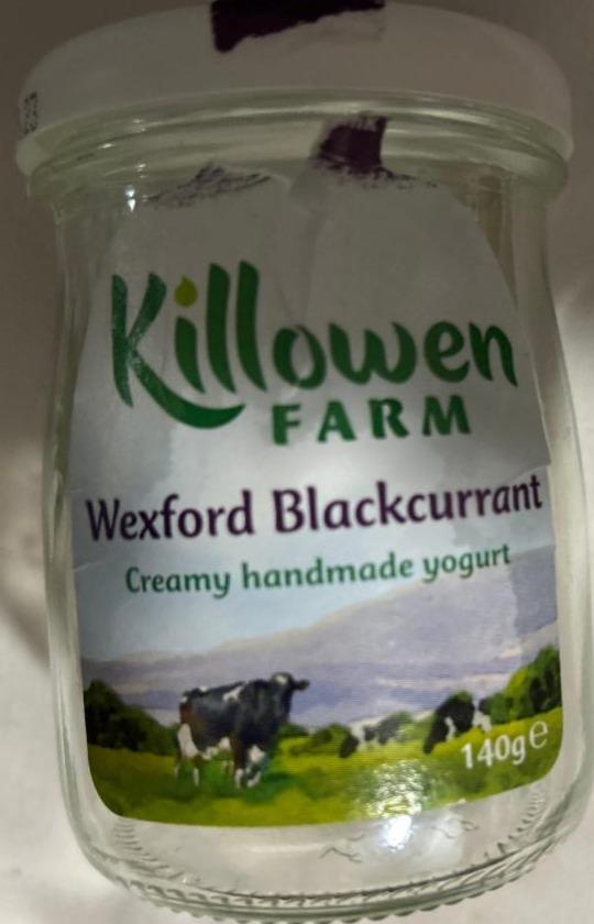 Фото - Blackcurrant Yogurt Killowen Farm