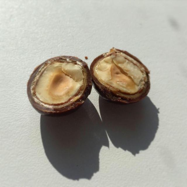 Фото - Chikalab protein chocolate лесной орех