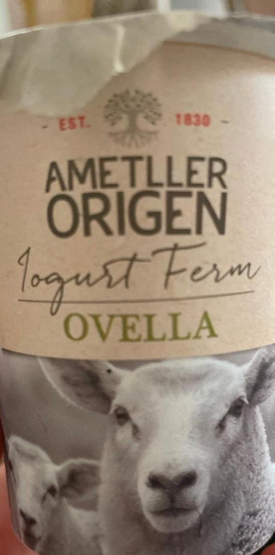 Фото - йогурт Овечий 5.8% Ametller Origen