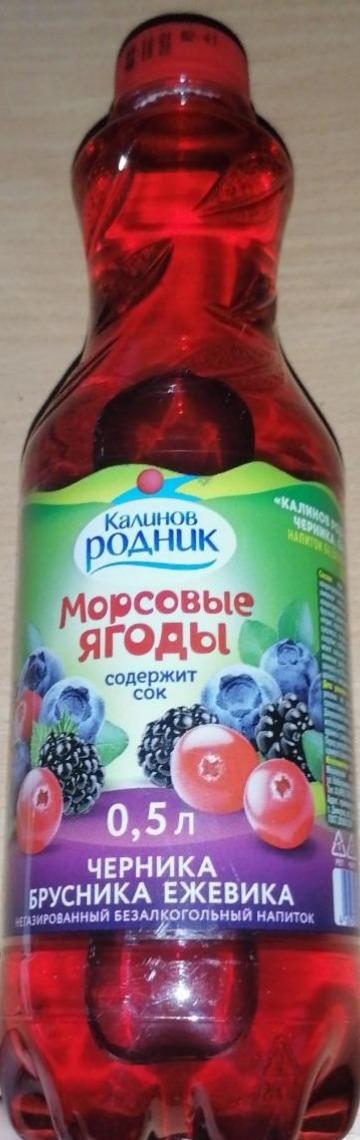 Фото - Морсовые ягоды черника, брусника, ежевика Калинов родник