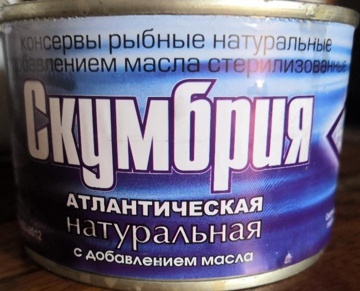 Фото - Скумбрия атлантическая с добавлением масла Рыбпромпродукт