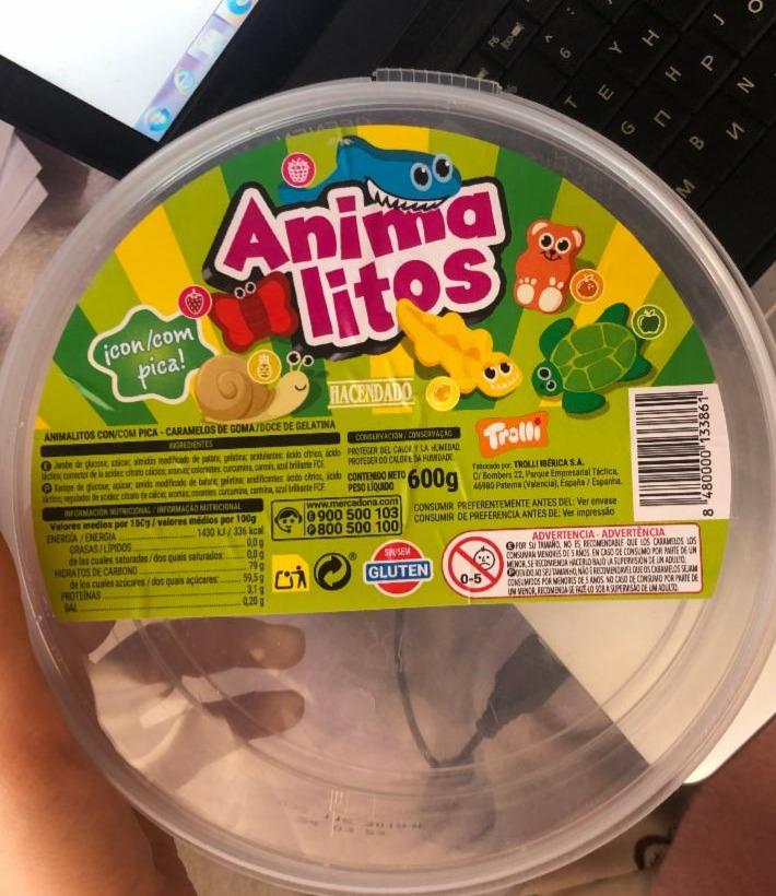Фото - желейные конфеты Anima litos Hacendado