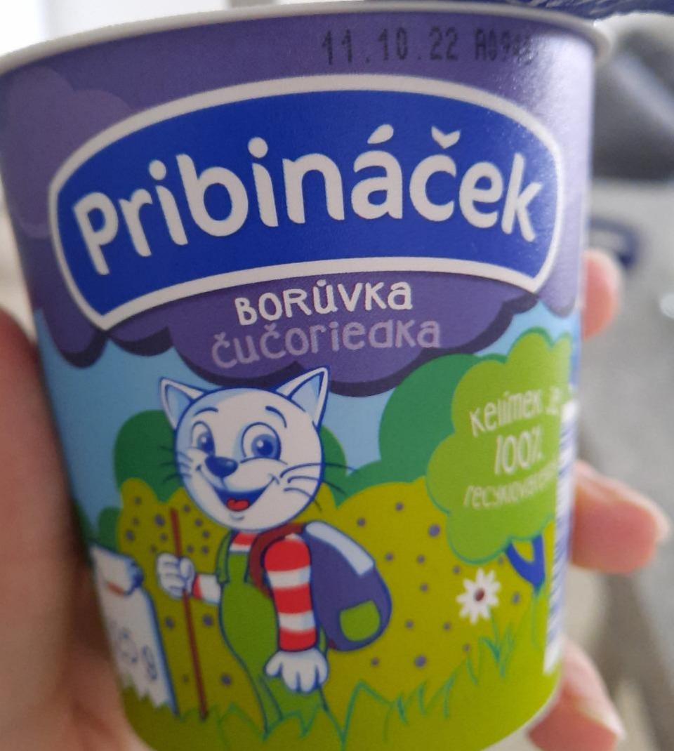 Фото - Pribinaček boruvka